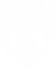 Testla Power Solutions LLC